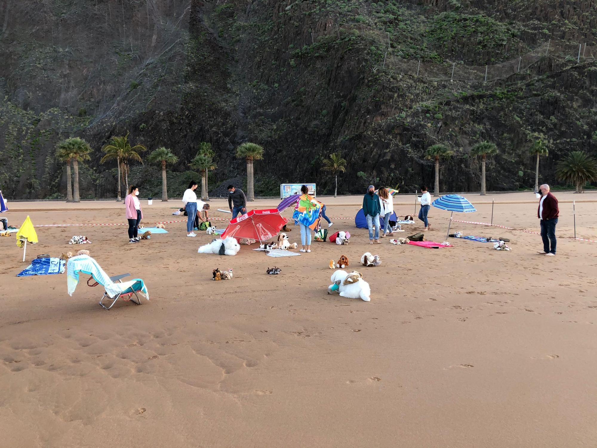 Acción pacífica en la playa de Las Teresitas en demanda de una zona para mascotas