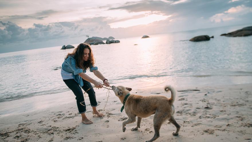 Los perros juegan y se divierten a lo grande en las playas.