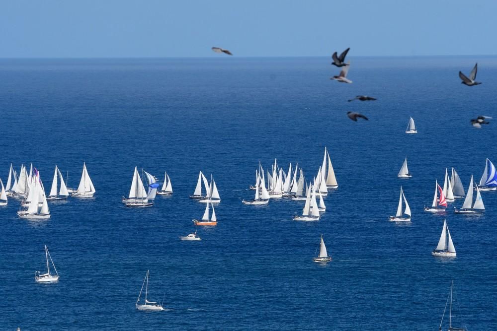 Salida de la regata ARC 2019