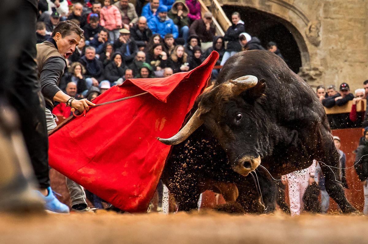 GALERÍA: El martes de Carnaval del Toro en Ciudad Rodrigo se salda con siete intervenciones sanitarias GALERÍA: El martes de Carnaval del Toro en Ciudad Rodrigo se salda con siete intervenciones sanitarias