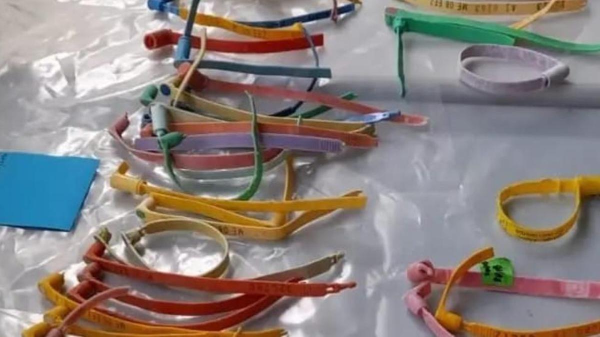 Etiquetas de las nasas de pesca de langosta procedentes de EEUU y Canadá halladas en las costas de Canarias.