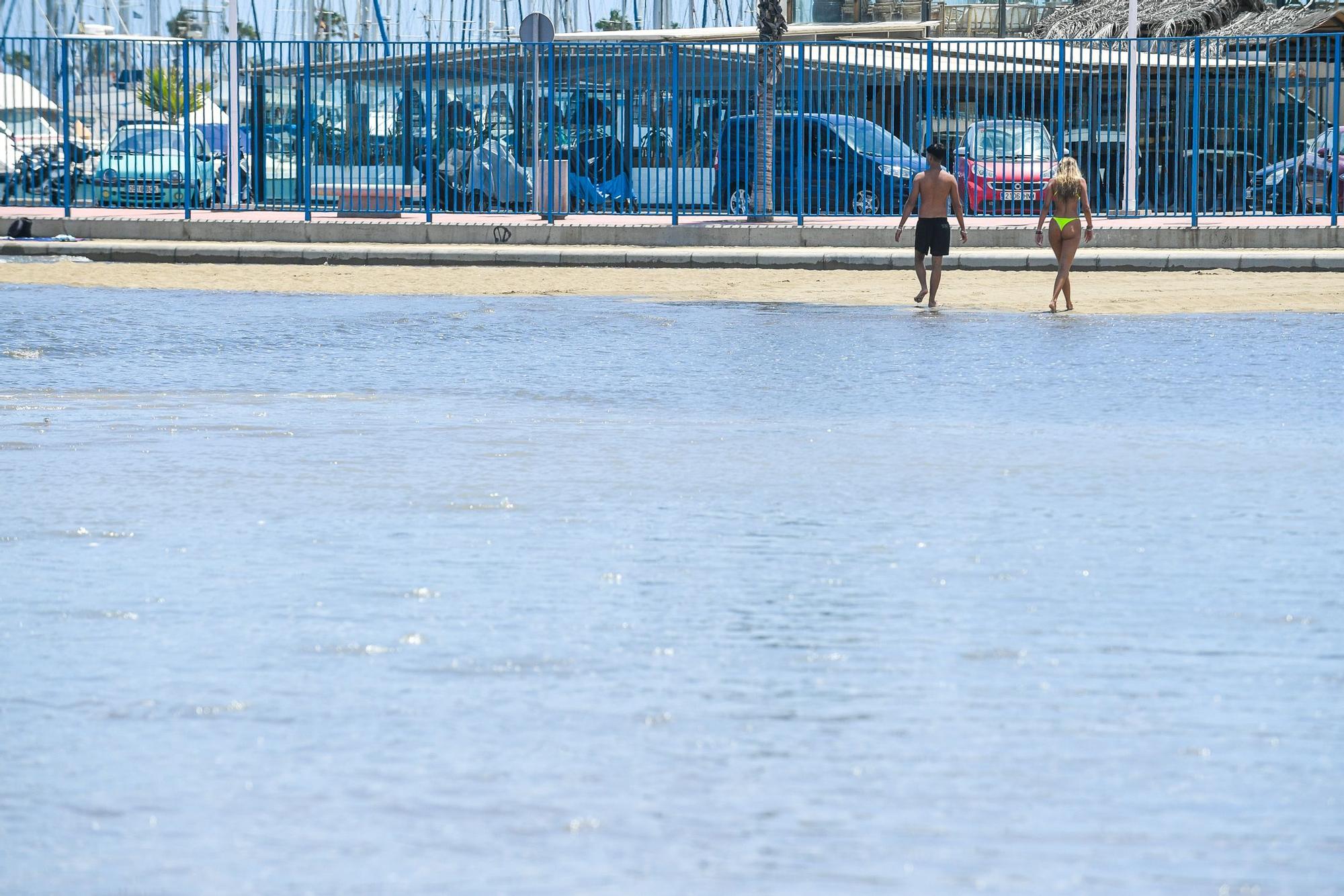 Mareas del Pino en las Alcaravaneras