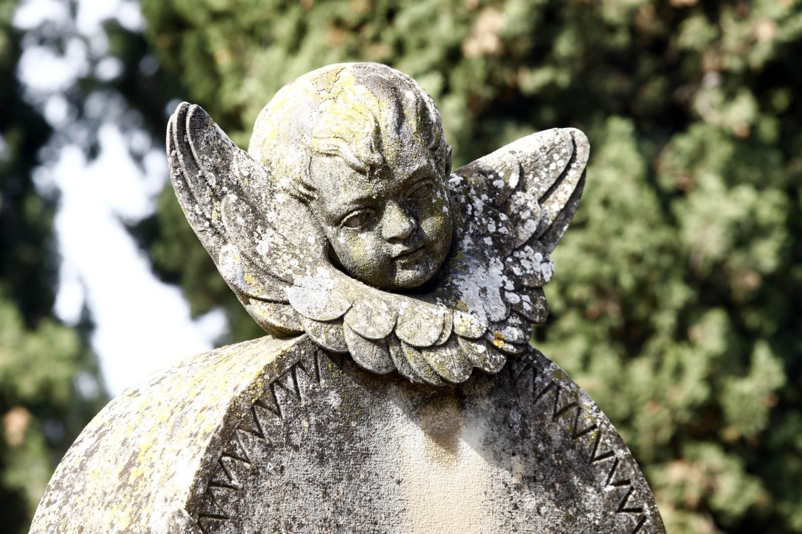En imágenes | El cementerio de Zaragoza, un museo al aire libre que se engalana para el Día de Todos los Santos