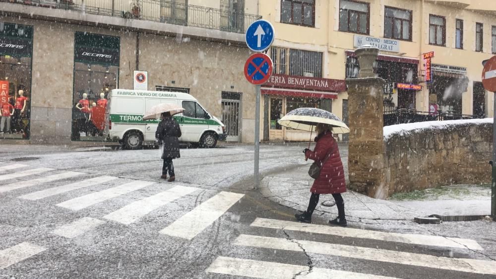 La nieve llega a Benavente