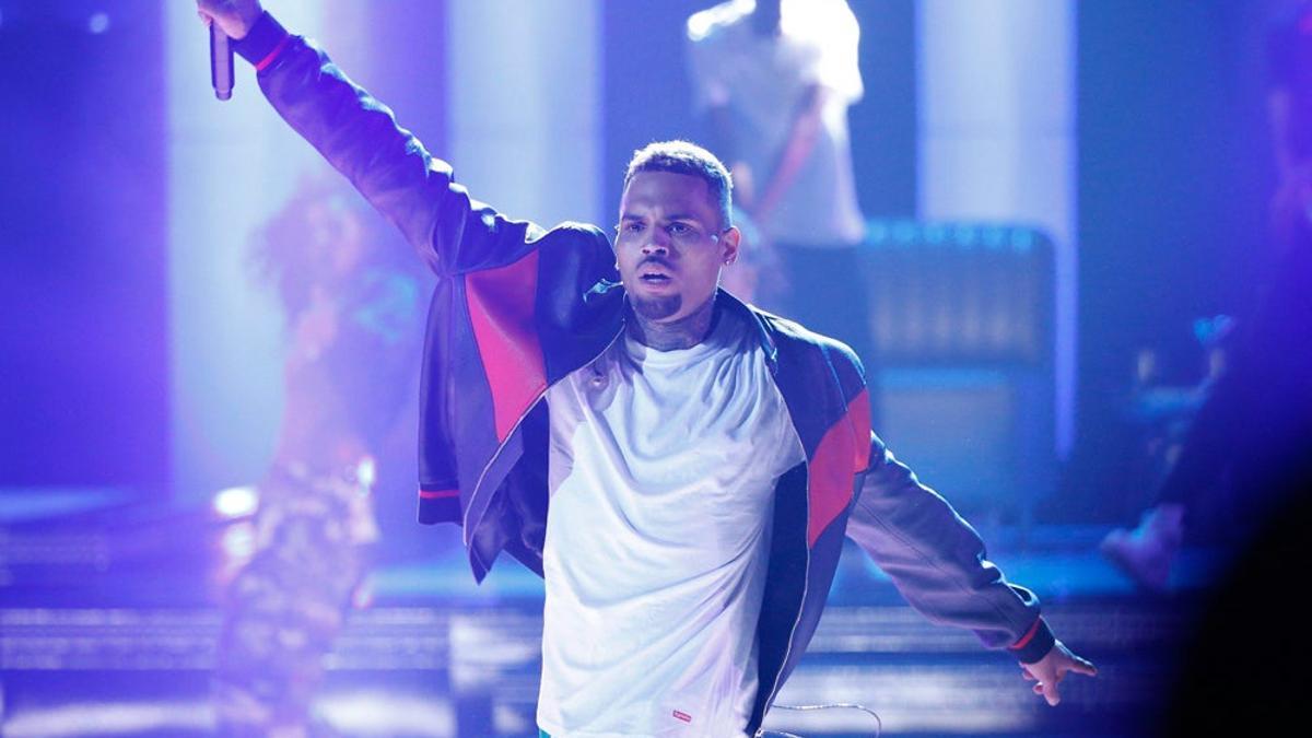 Chris Brown, un mono y la justicia