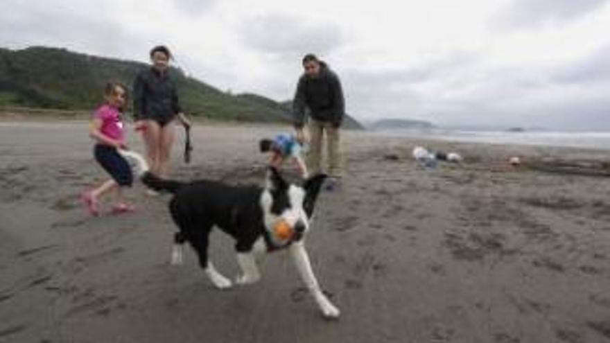 Las playas asturianas del Rinconín, Saliencia  y Bayas admitirán perros este verano