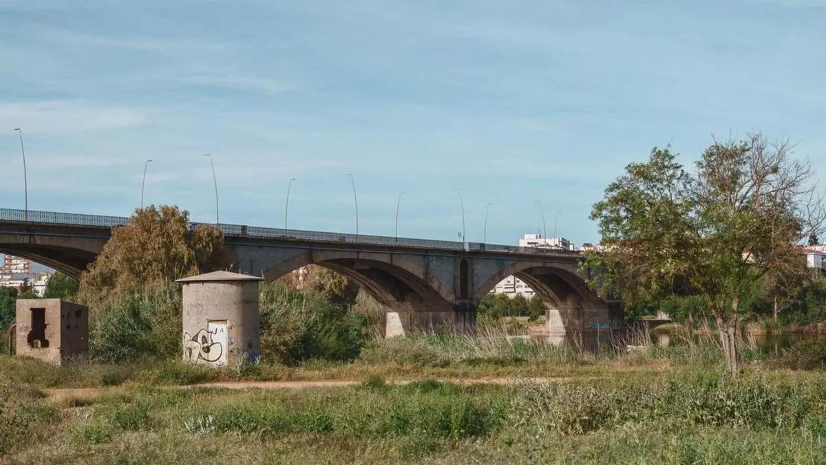 El puente Fernández Casado, sobre la avenida Reina Sofía, escenario del suceso en el que Policía y ciudadanos lograron poner a salvo al hombre joven.