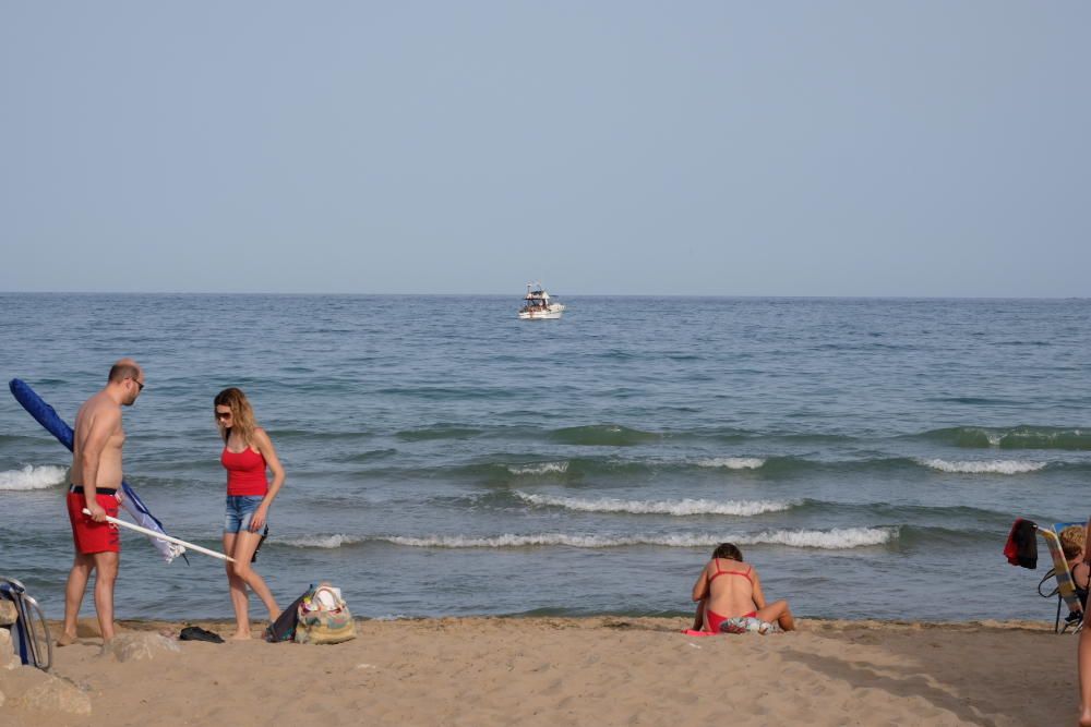 Así está la playa del Pinet de Elche tras morder u