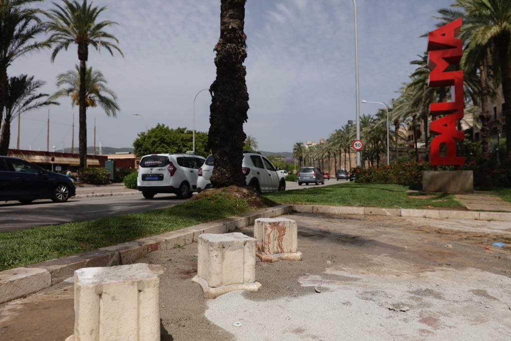 Muere un hombre al ser atropellado por un coche de la Policía Local en Palma