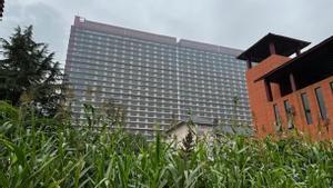 Aquest és el gratacel inaugurat a la Xina per sacrificar un milió de porcs a l’any