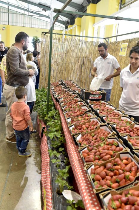 Feria de la fresa de Valsequillo, 2017