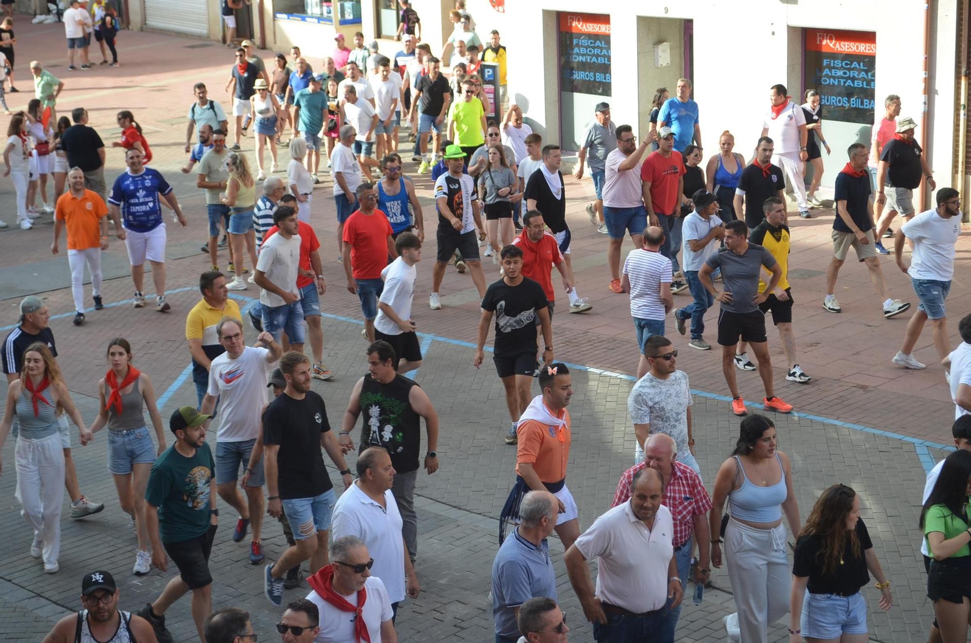 Así ha sido la carrera del torito Espléndido en Benavente