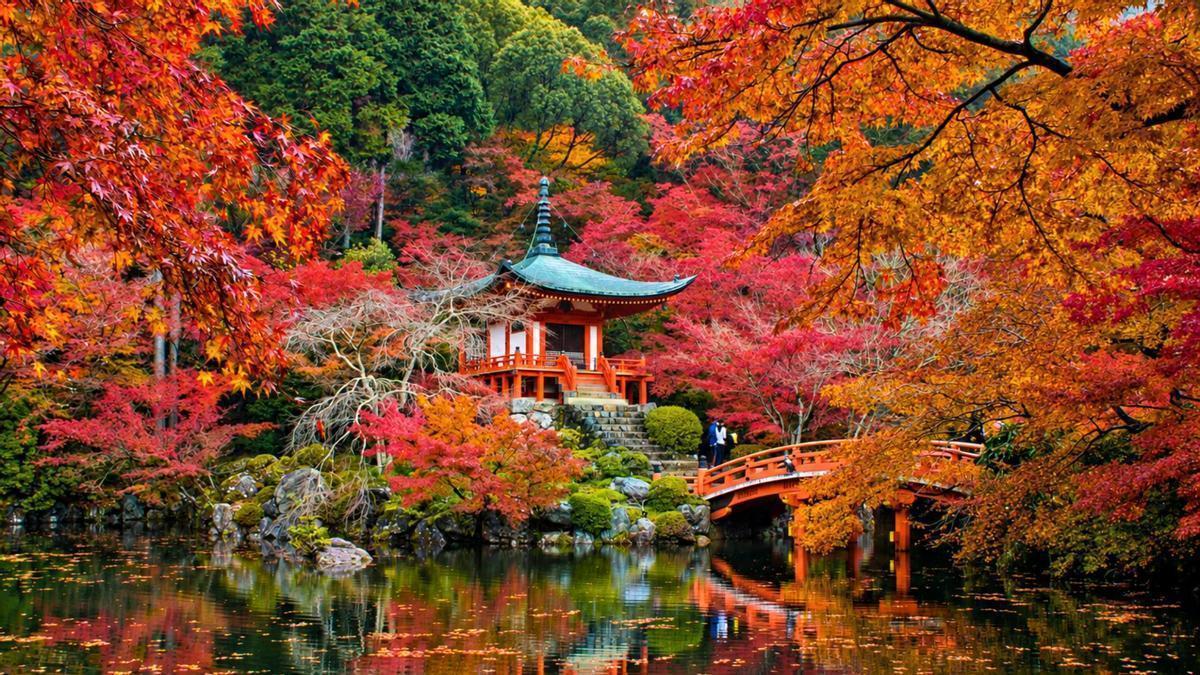 Japón en otoño experimenta una auténtica metamorfosis.