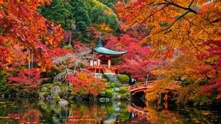 Kioto, el "mar rojo" del otoño japonés