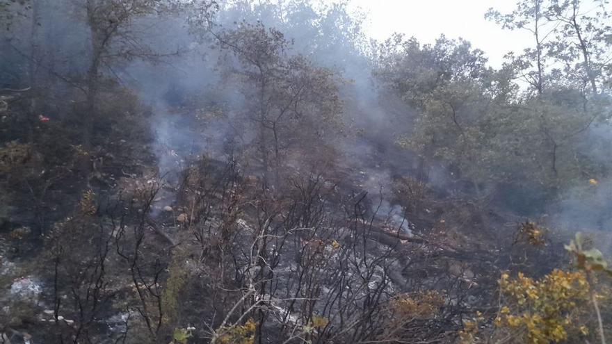 Un incendi forestal crema 1.600 m2 de sotabosc a Sant Mateu de Bages