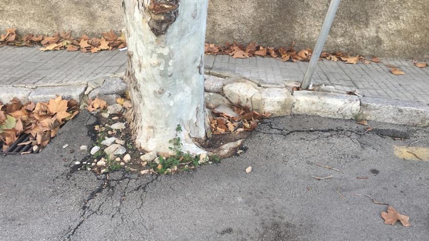 Detalle de la acera y calzada en el camino Passatemps.