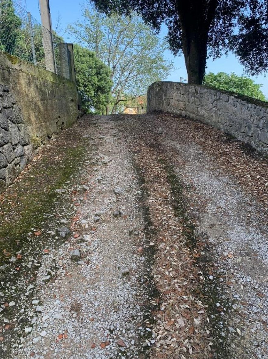 Asfaltado de caminos en Ardisana, Celoriu, Naves y Pancar