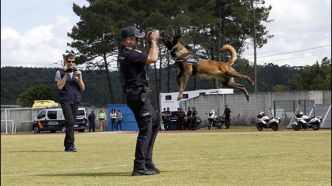 El Policía Nacional Emilio con la perra Mika en una exhibición en Ribeira.