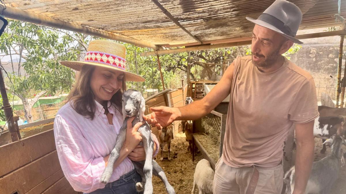 Gran Canaria presume de las razas autóctonas canarias como el podenco y la oveja canaria y reclama un proyecto para su visibilización y promoción en los colegios