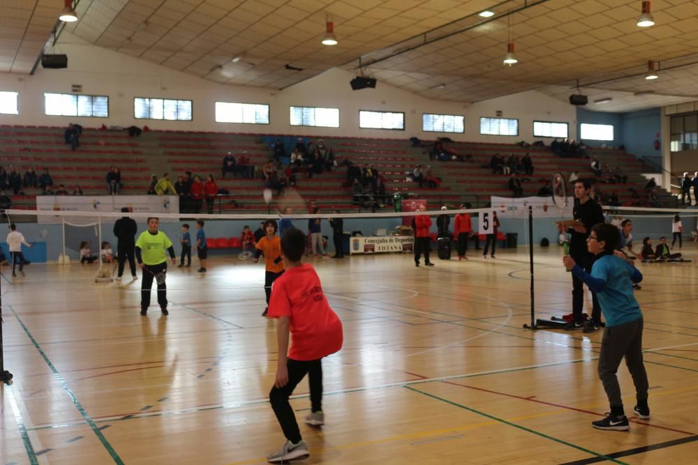 Final Regional de bádminton de Deporte Escolar