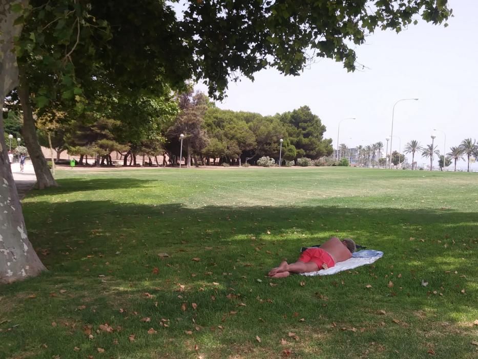 Tumbados bajo cualquier sombra en Palma en plena ola de calor