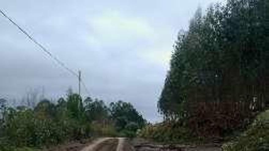 Vial abegondés cubierto de barro.