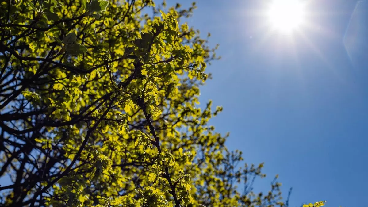 El Meteocat avisa d'un canvi en el temps per aquest cap de setmana
