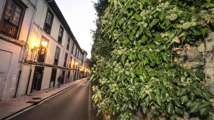 Vox pide reservar dinero del presupuesto municipal en 2027 para rehabilitar la muralla medieval de Oviedo