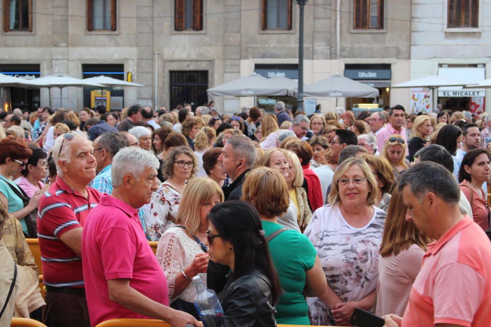 Besamanos a la Virgen de los Desamparados