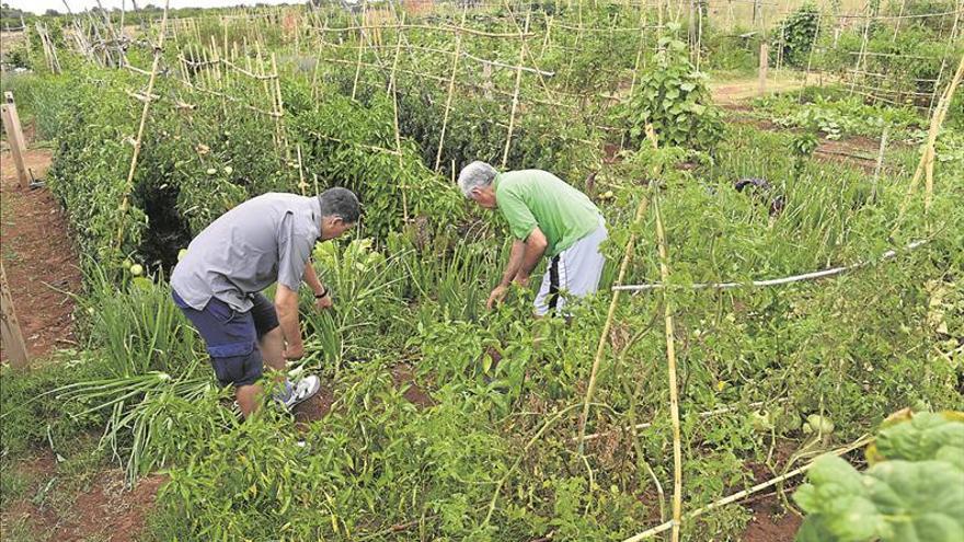 La ganadería y la agricultura elevan costes por la falta de lluvia y el calor