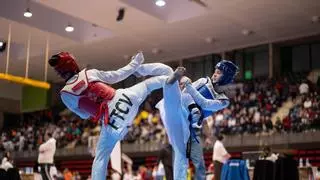 El taekwondo nacional conquista Vila-real