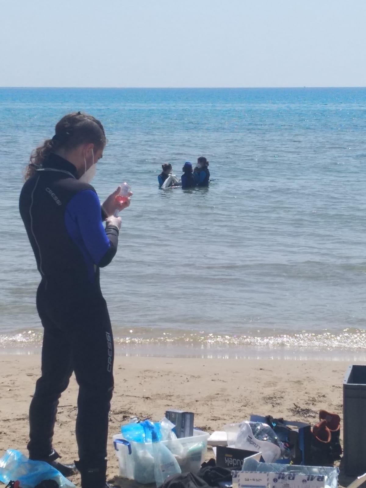 El personal del Oceanogràfic trabaja en el rescate del animal.