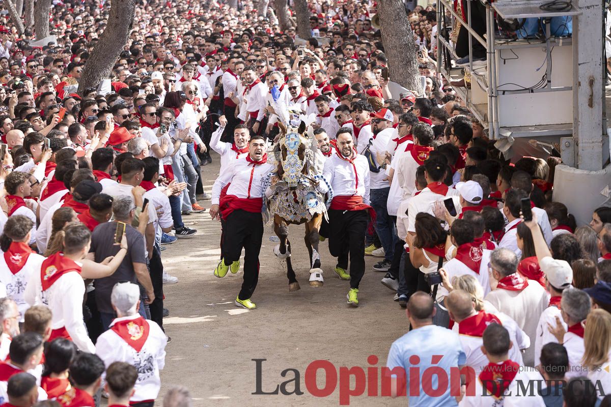 Así se ha vivido la carrera de Los Caballos del Vino en Caravaca