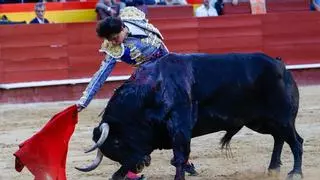 Roca Rey, fundamento emocional en València, rescata el 9 d'Octubre