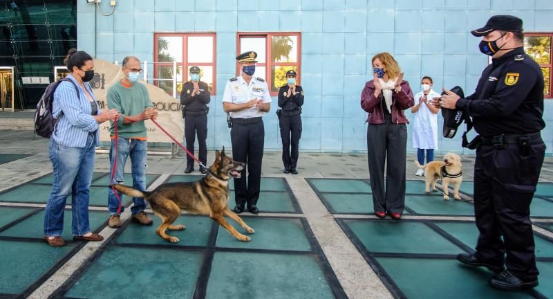 La Policía Nacional entrega en adopción a “Basco”