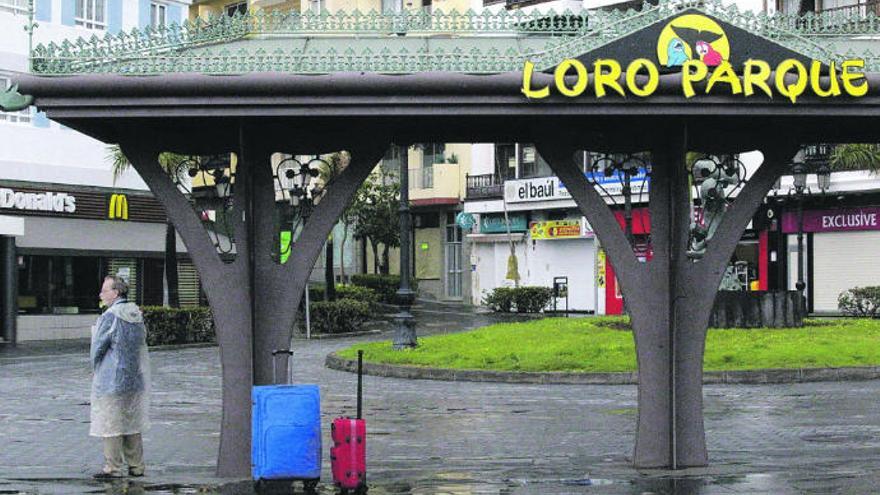 Un turista se resguarda de la lluvia con sus maletas en Puerto de la Cruz.