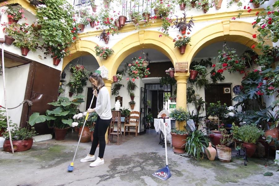 Los Patios de Córdoba (3)