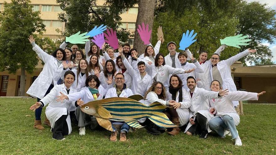 Luz verde de la Agencia Europea del Medicamento a la UMU y el IMIB para el uso de un fármaco huérfano