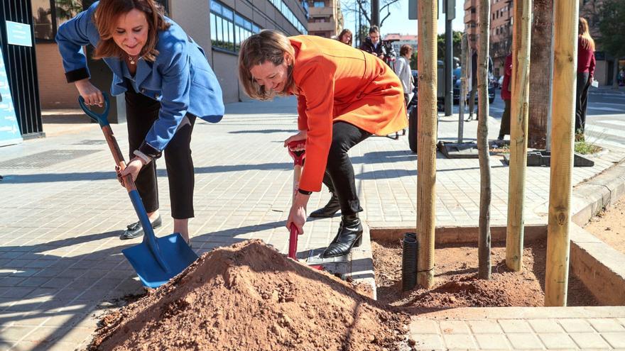 La Capitalidad Verde lleva arbolado a la avenida Baleares