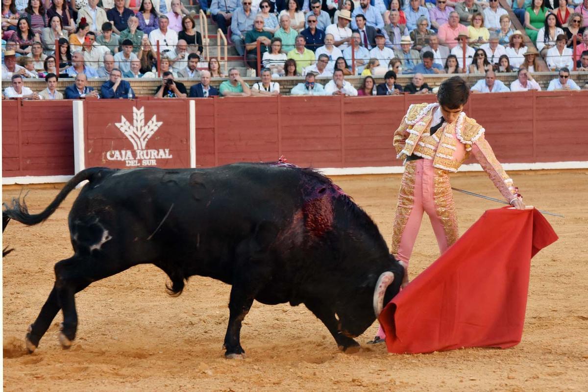 El novillero Manuel Román en el Coso de los Califas de Córdoba.