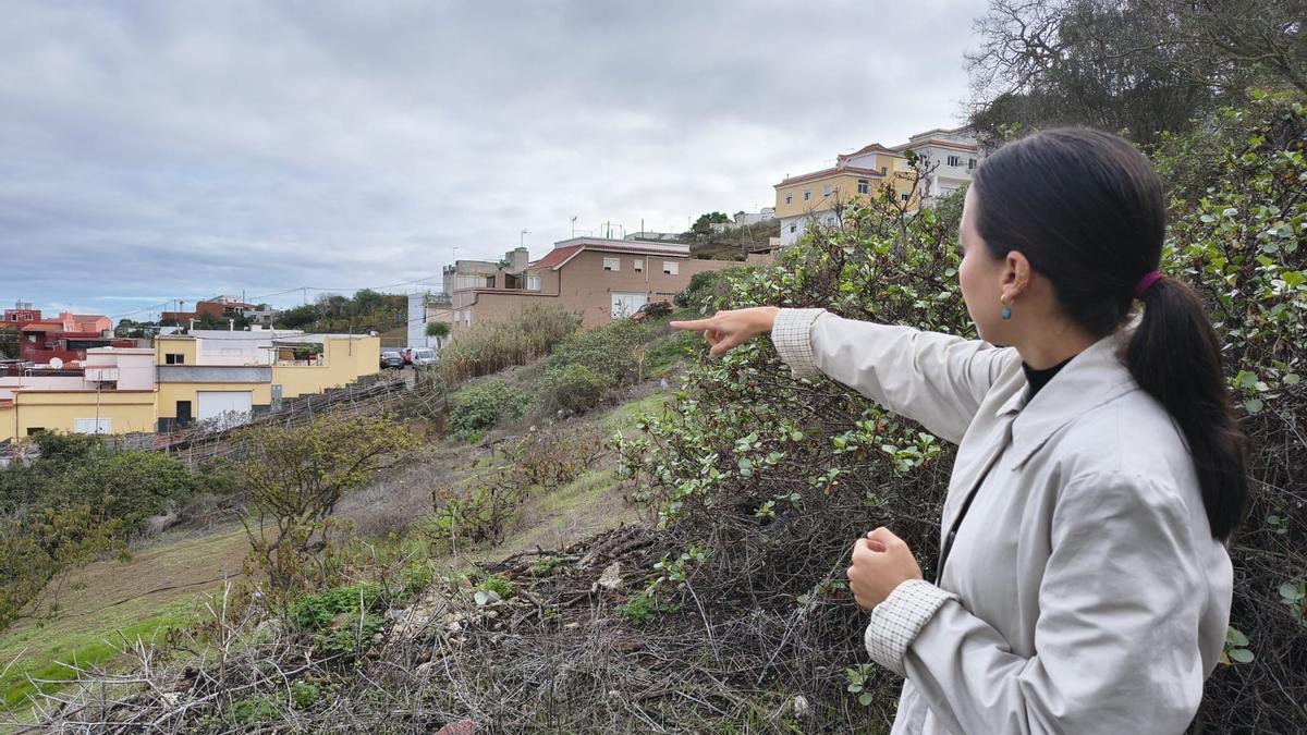 La edil de urbanismo María Lozano señala los terrenos de Las Arenillas.