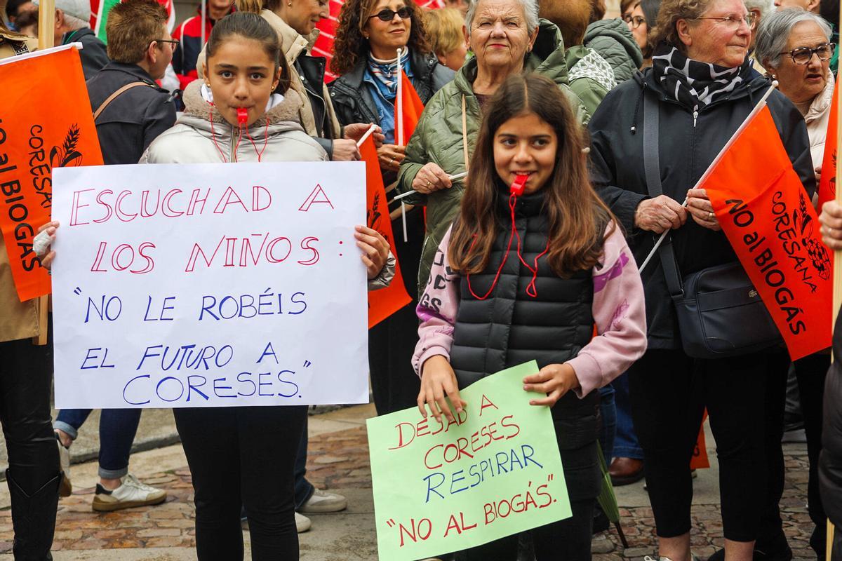 Ni molinos ni biogás: la oposición al nuevo mapa energético convoca a un millar de zamoranos en la capital