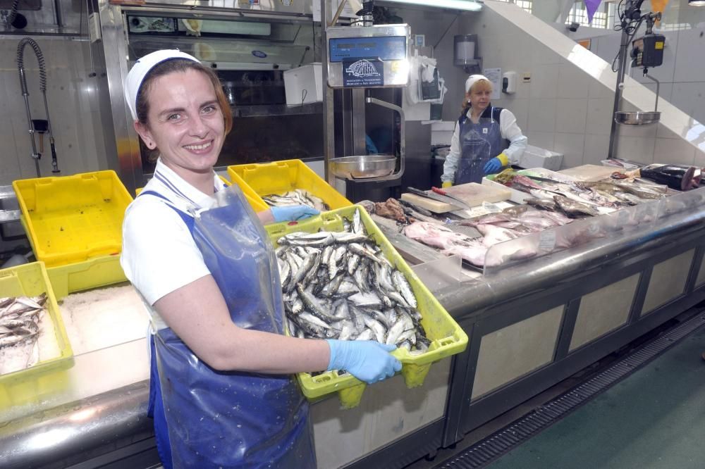 Pocas sardinas en A Coruña en vísperas de San Juan