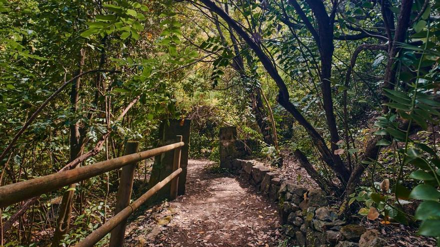 Medio Ambiente prohíbe la música y las bicicletas en Los Tilos de Moya