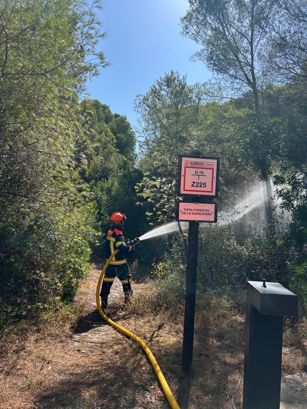 Los bomberos riegan las inmediaciones de la Gola de Pujol