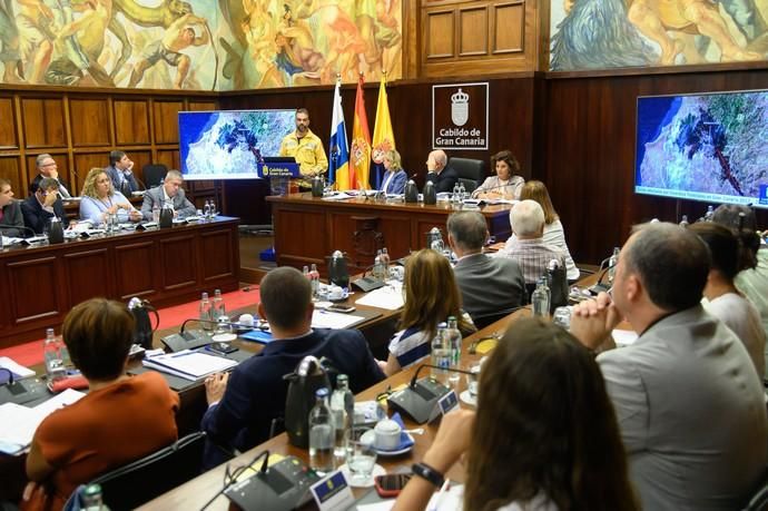 Pleno del Cabildo sobre el incendio de Gran Canaria.