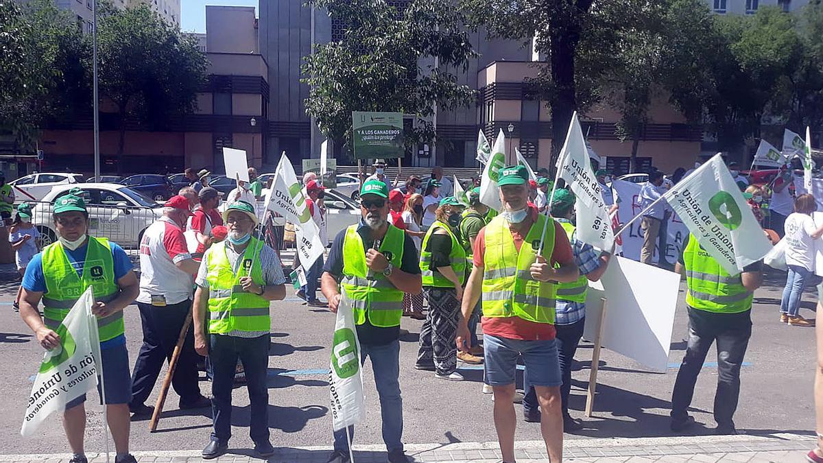 Manifestación contra el &quot;blindaje&quot; del lobo en Madrid