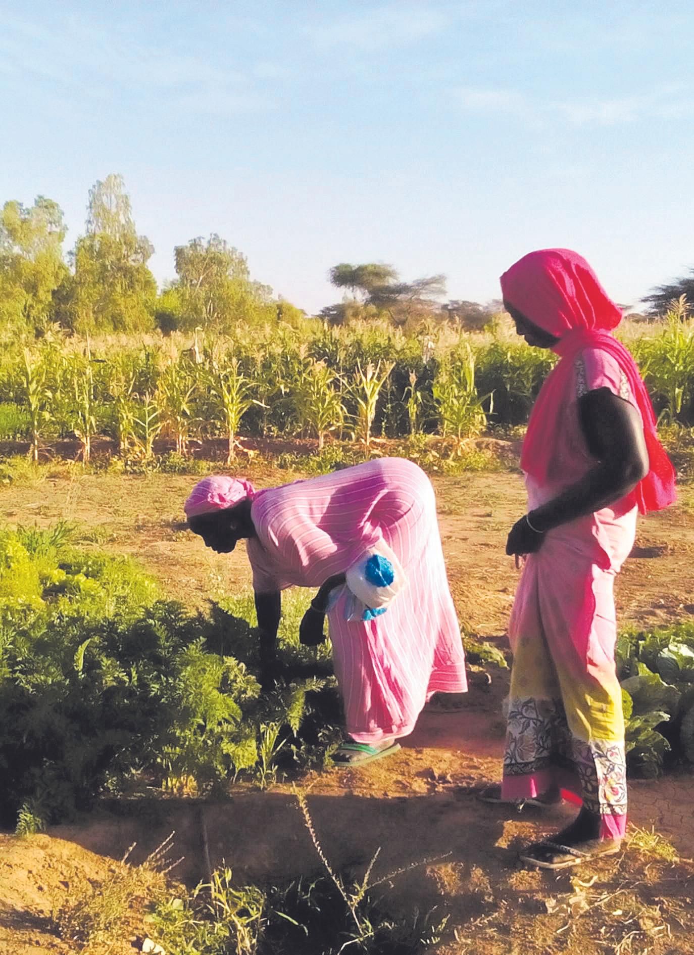 Dos agricultoras senegalesas trabajan la tierra con el respaldo de un proyecto de soberanía alimentaria de la oenegé Huauquipura.