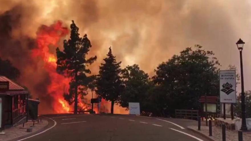 Imagen del incendio en la Cumbre de la isla.