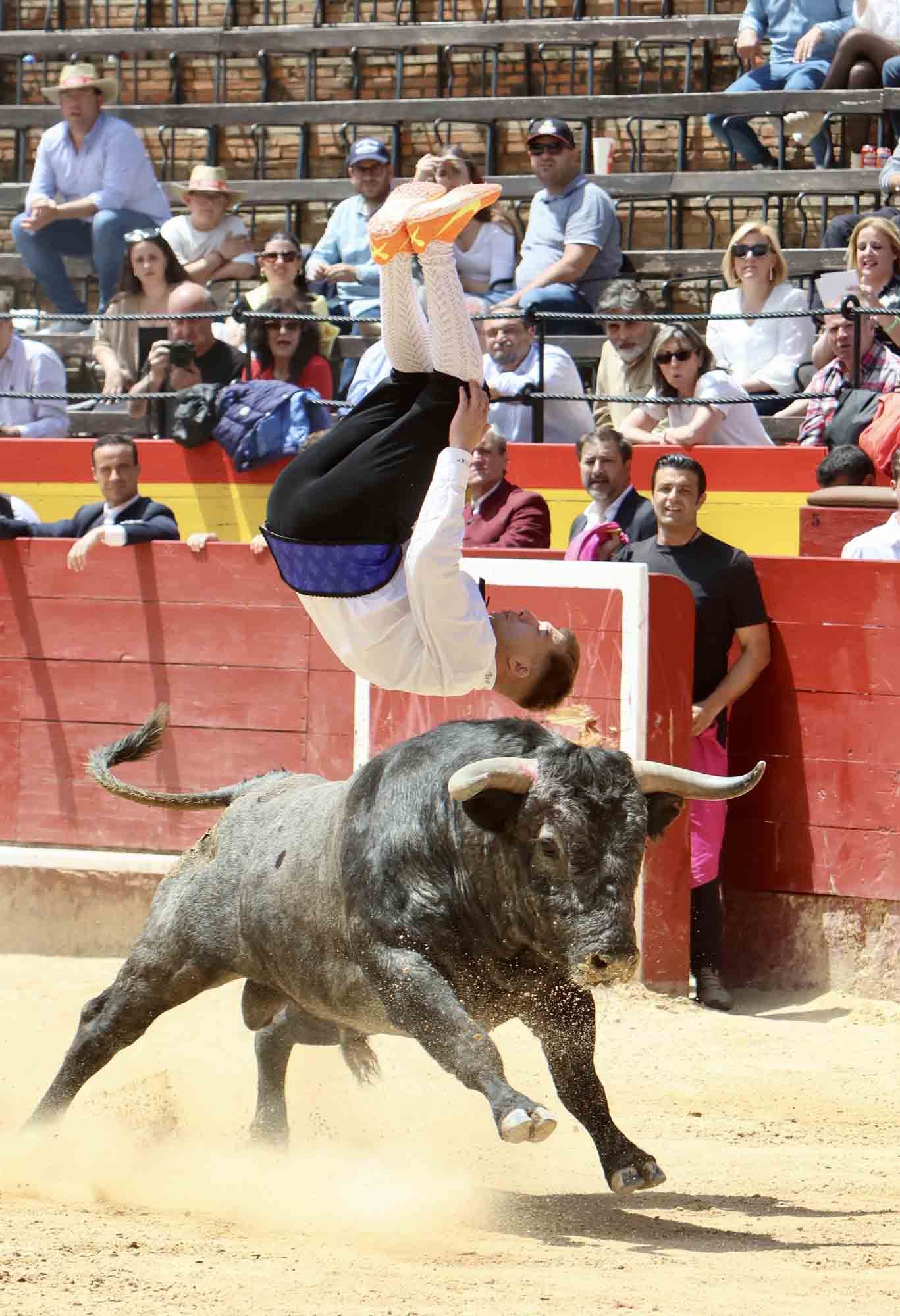 Valencia vive un fin de semana taurino alicantino